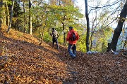 65 Scendiamo dal bel sentiero Vetta tapezzatto di foglie